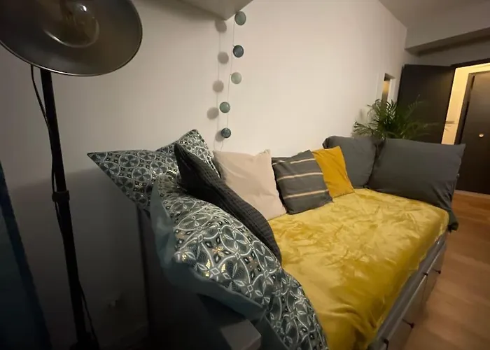 Saint-girons, En Plein Centre