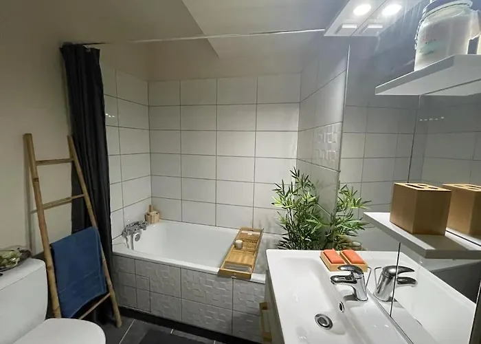 Saint-girons, En Plein Centre * Saint-Girons (Ariege)