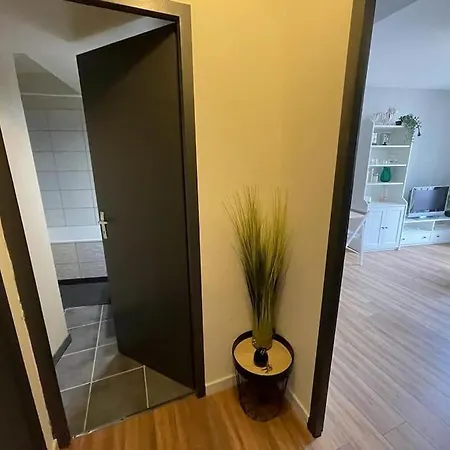 Saint-girons, En Plein Centre