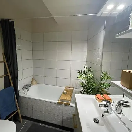 Saint-girons, En Plein Centre * Saint-Girons (Ariege)