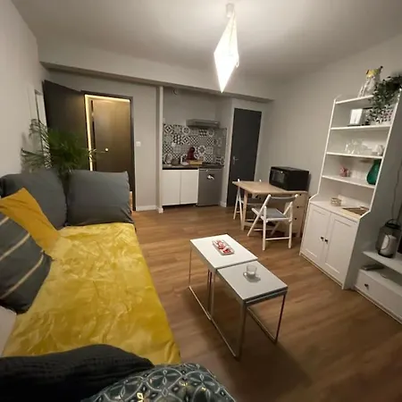 Saint-girons, En Plein Centre Apartment *